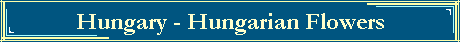 Hungary - Hungarian Flowers