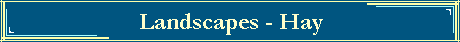 Landscapes - Hay