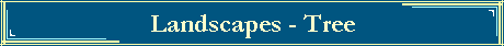 Landscapes - Tree