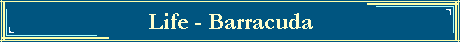 Life - Barracuda