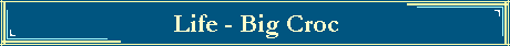 Life - Big Croc