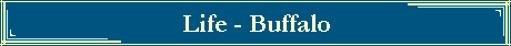 Life - Buffalo