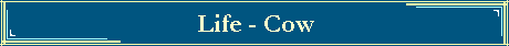 Life - Cow