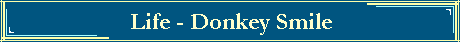 Life - Donkey Smile