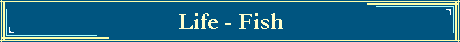 Life - Fish