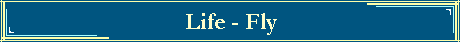 Life - Fly
