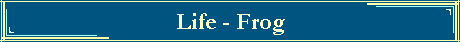 Life - Frog