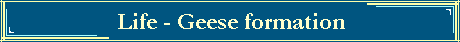 Life - Geese formation