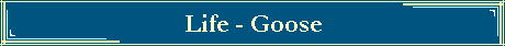 Life - Goose