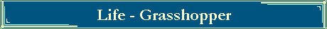 Life - Grasshopper