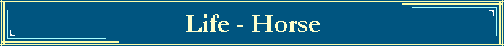 Life - Horse