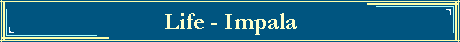 Life - Impala