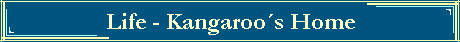 Life - Kangaroos Home