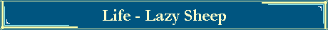 Life - Lazy Sheep