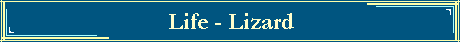 Life - Lizard