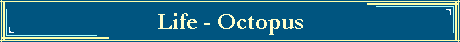 Life - Octopus