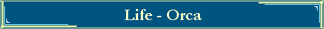 Life - Orca