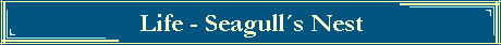Life - Seagulls Nest
