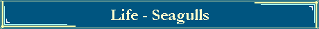 Life - Seagulls