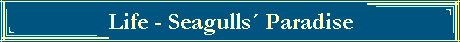 Life - Seagulls Paradise