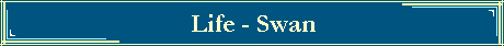 Life - Swan