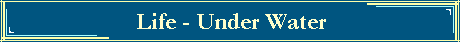 Life - Under Water