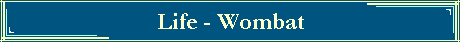 Life - Wombat