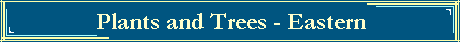 Plants and Trees - Eastern