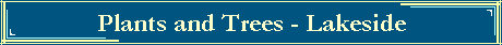 Plants and Trees - Lakeside