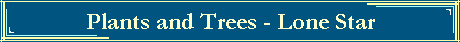 Plants and Trees - Lone Star