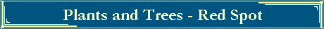 Plants and Trees - Red Spot