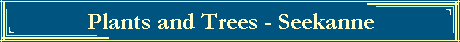 Plants and Trees - Seekanne