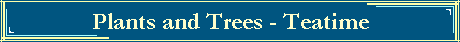 Plants and Trees - Teatime