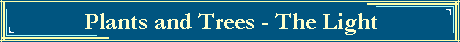 Plants and Trees - The Light