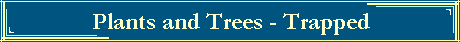 Plants and Trees - Trapped