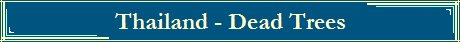 Thailand - Dead Trees