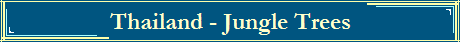 Thailand - Jungle Trees